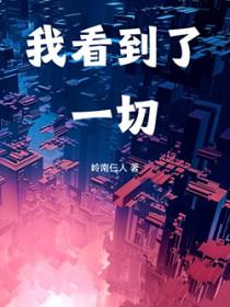 我看到了一切英语