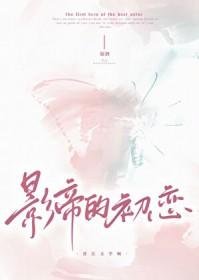 影帝的初恋txt