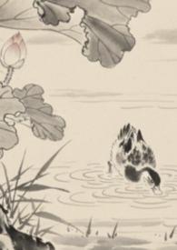 全京城都在等我掉吗