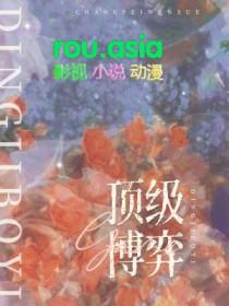 经典博弈论高级教程