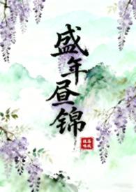 盛年免费阅读