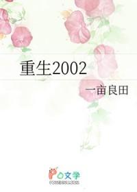 重生2002互联网泡沫后的霸业