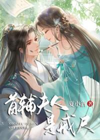 首辅夫人追