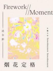 烟花执着定格在天空