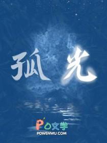 孤光自照上一句