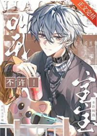 不许叫我宝宝txt