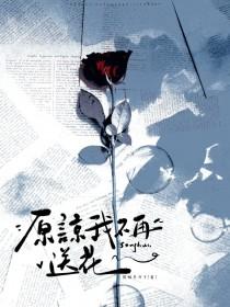原谅我不再送花笔趣阁