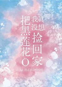 我真没想把黑莲花O捡回家txt免费阅读