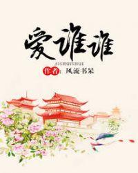爱谁谁风流书呆讲的什么内容