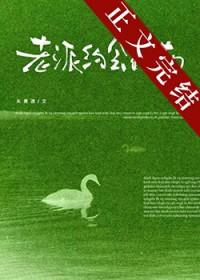 老派约会指南txt