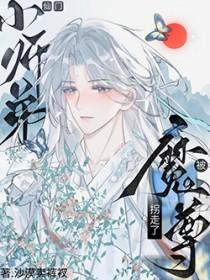 魔尊与师尊的二三事
