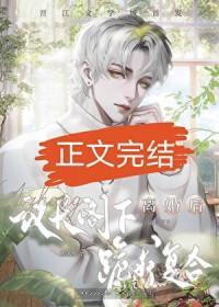 和联邦议长结婚后免费