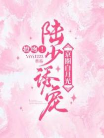 陆少宠妻