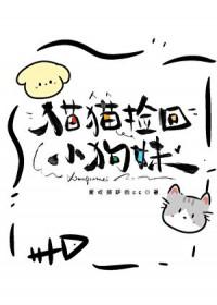捡到小猫小狗怎么办