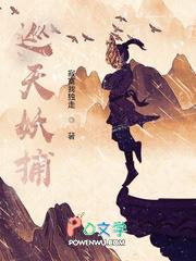巡天妖捕主角境界