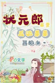 状元郎的傻子妻