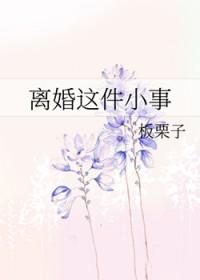 离婚这件小事板栗子番外