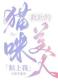 救助的猫咪美人粘上我不虚不虚