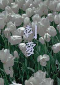 刺萝结因txt