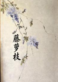 藤萝为枝的全部作品有哪些
