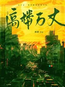 只见高楼万丈