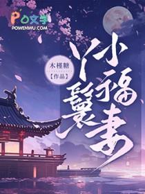 丫鬟小福妻 木槿糖