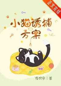 小猫诱捕方案by有只伞免费阅读