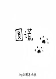 圆谎歌词是什么意思