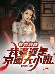 权力巅峰我老婆是京圈大小姐百度百科