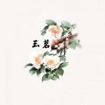玉茗建设集团有限责任公司