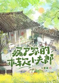 屠户家的小夫郎txt书包网