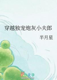 穿越独宠小夫郎书包网