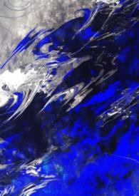 S级向导的治疗记录单内容