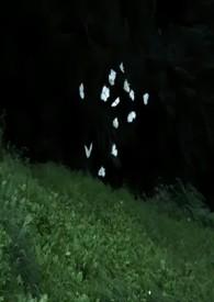 蔚然 兄妹