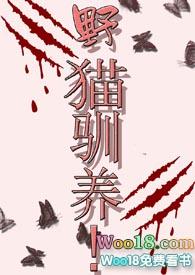 野猫驯养!(!)作者魏承泽
