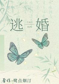 逃婚后去往何处免费阅读无弹窗
