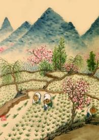 重生年代文里