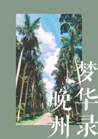 晚州梦华录书包网