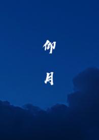 仰望免费阅读全文无弹窗