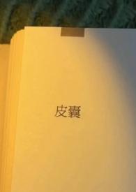 皮囊(出轨,H)