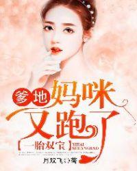 一胎双宝:爹地,妈咪又跑了